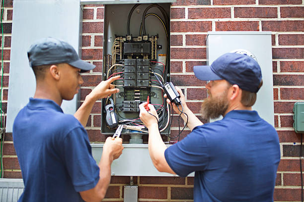 Best Electrical Panel Upgrades  in Larned, KS